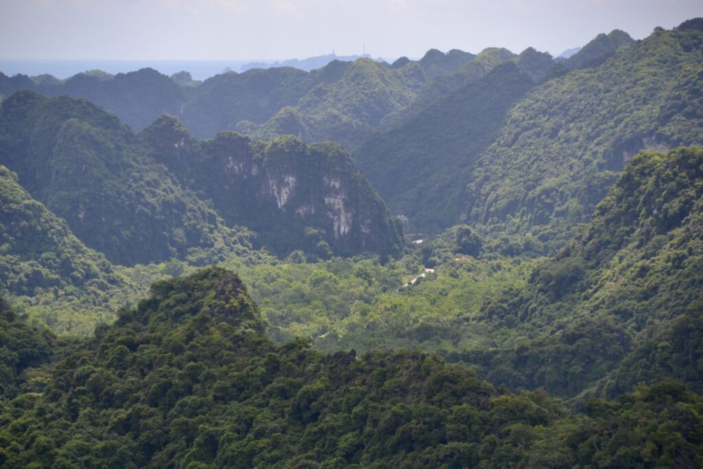 Dramatic mountain range and peaks fringe the island of Cat Ba in Vietnam, and it is covered in lush tropical rainforest with secret peaceful valleys