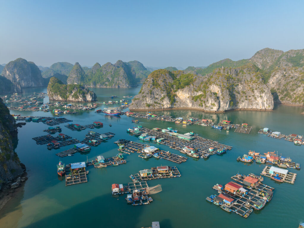 Floating fishing village in Lan Ha Bay, Vietnam viewed from above. Famous tourist destination in the north of Vietnam